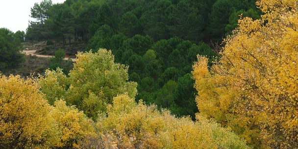 otoño